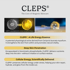 cepolab Misun Tree Water-base application emphasizes gentle comfort and even hydration.