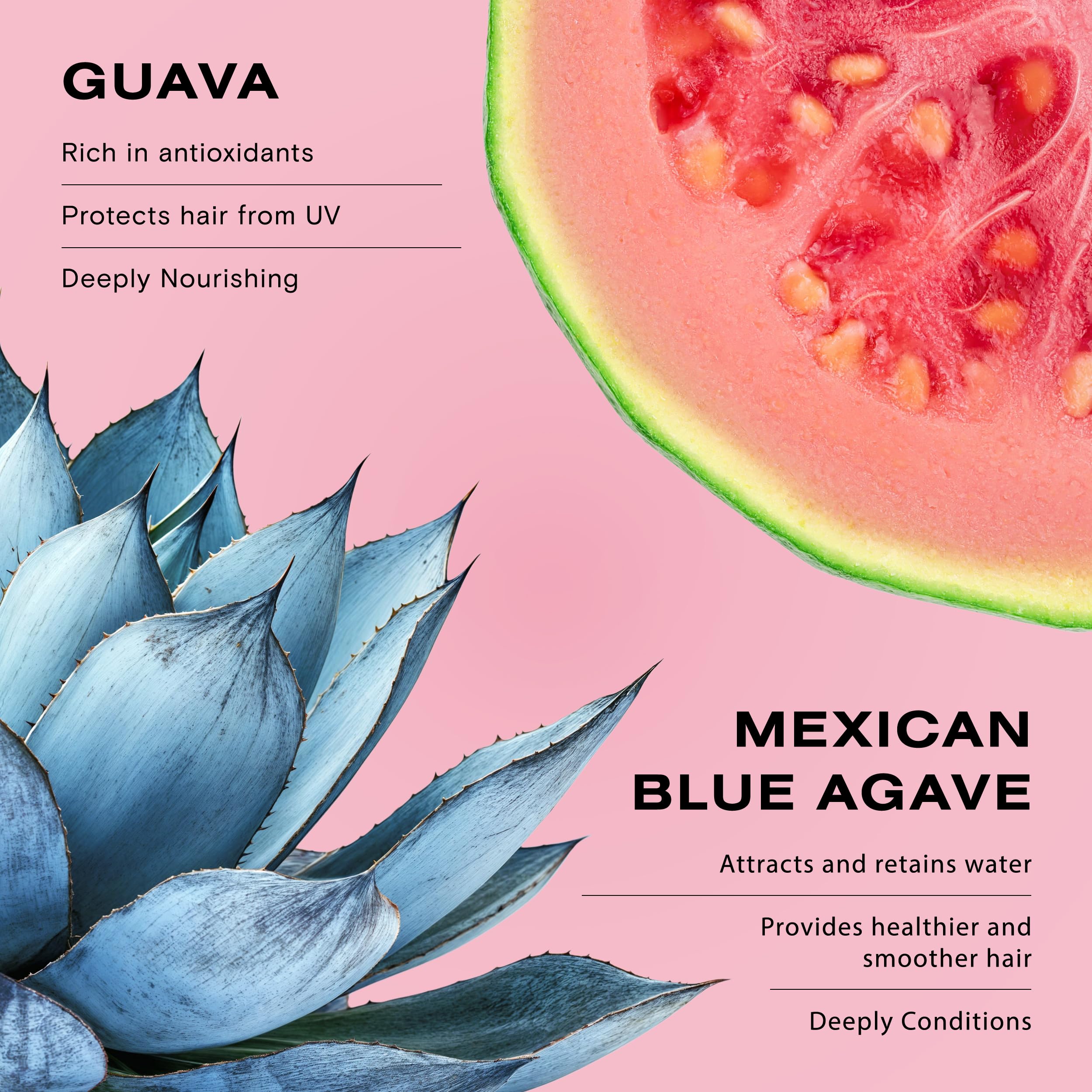 Ceremonia Guava Leave-In Ingredients Guava Fruit emphasizes antioxidants.