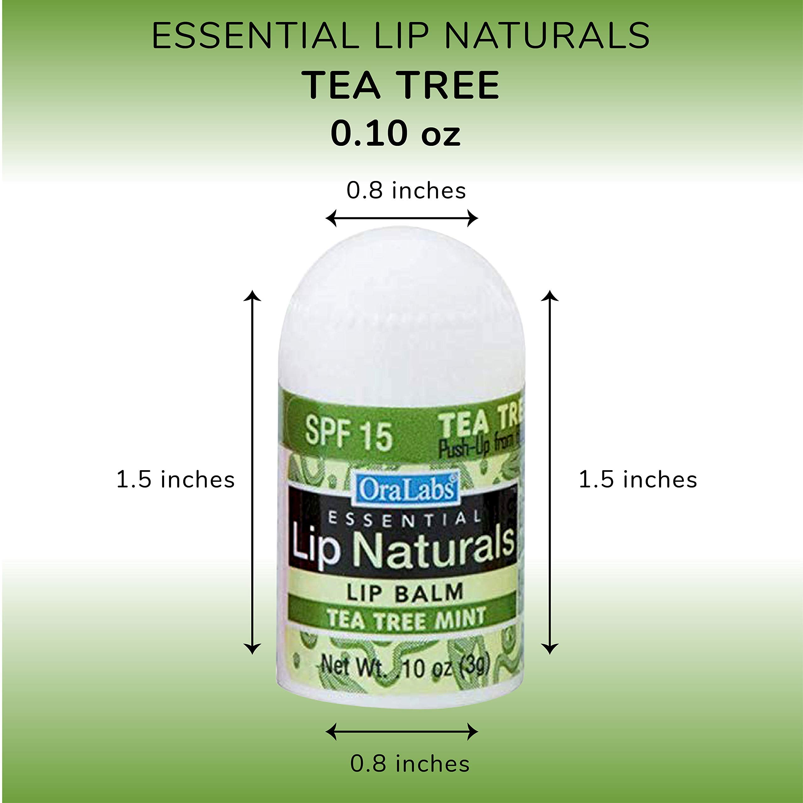 CHAP-ICE Lip Naturals cherry-tube shows flavorful option with sun protection.