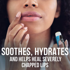 ChapStick bulk medicated lip balm 12-pack packaging close-up shows camphor and menthol soothing ingredients.