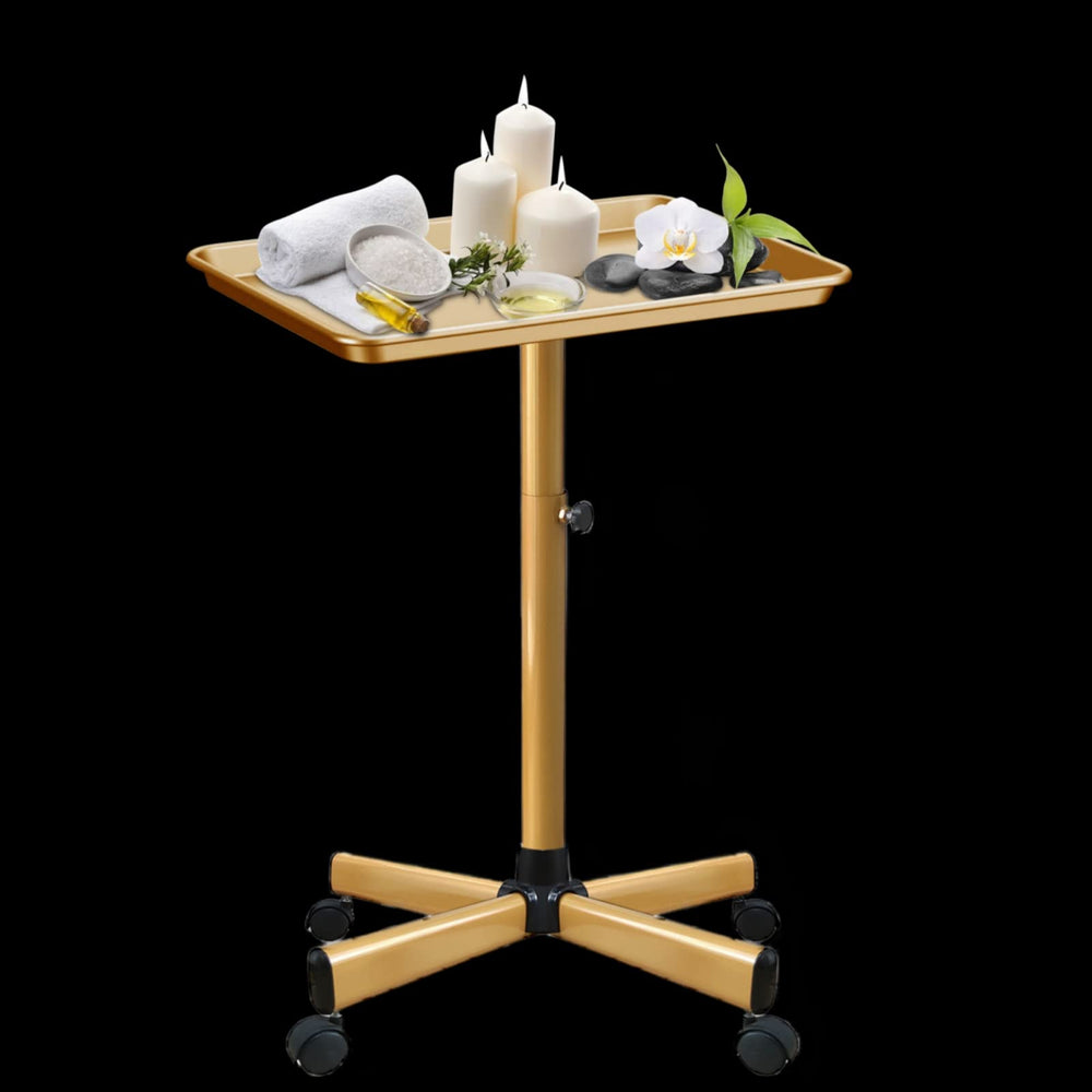 Chetunju Colden Salon Tray multi-use setup suitable for color, beauty, and tattoo workflows.