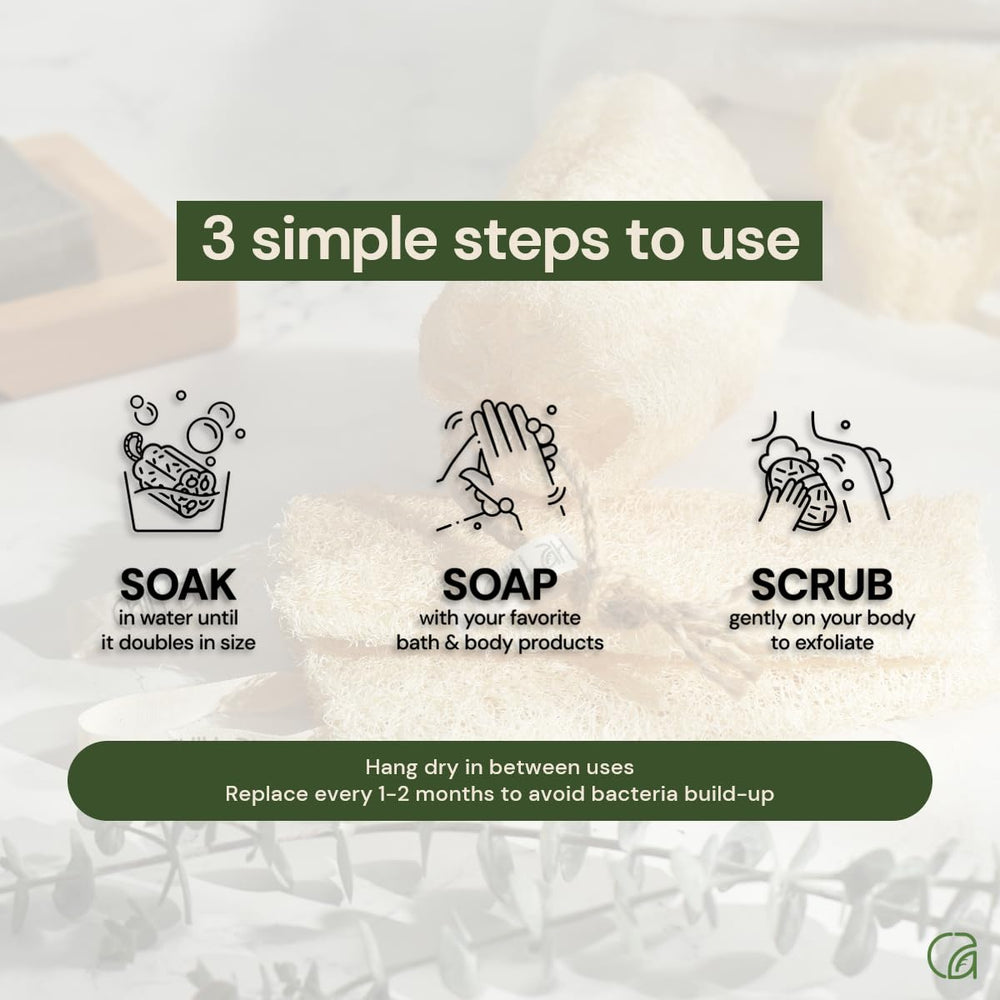 Chill Ah loofah sponge set gift packaging appealing eco-friendly.