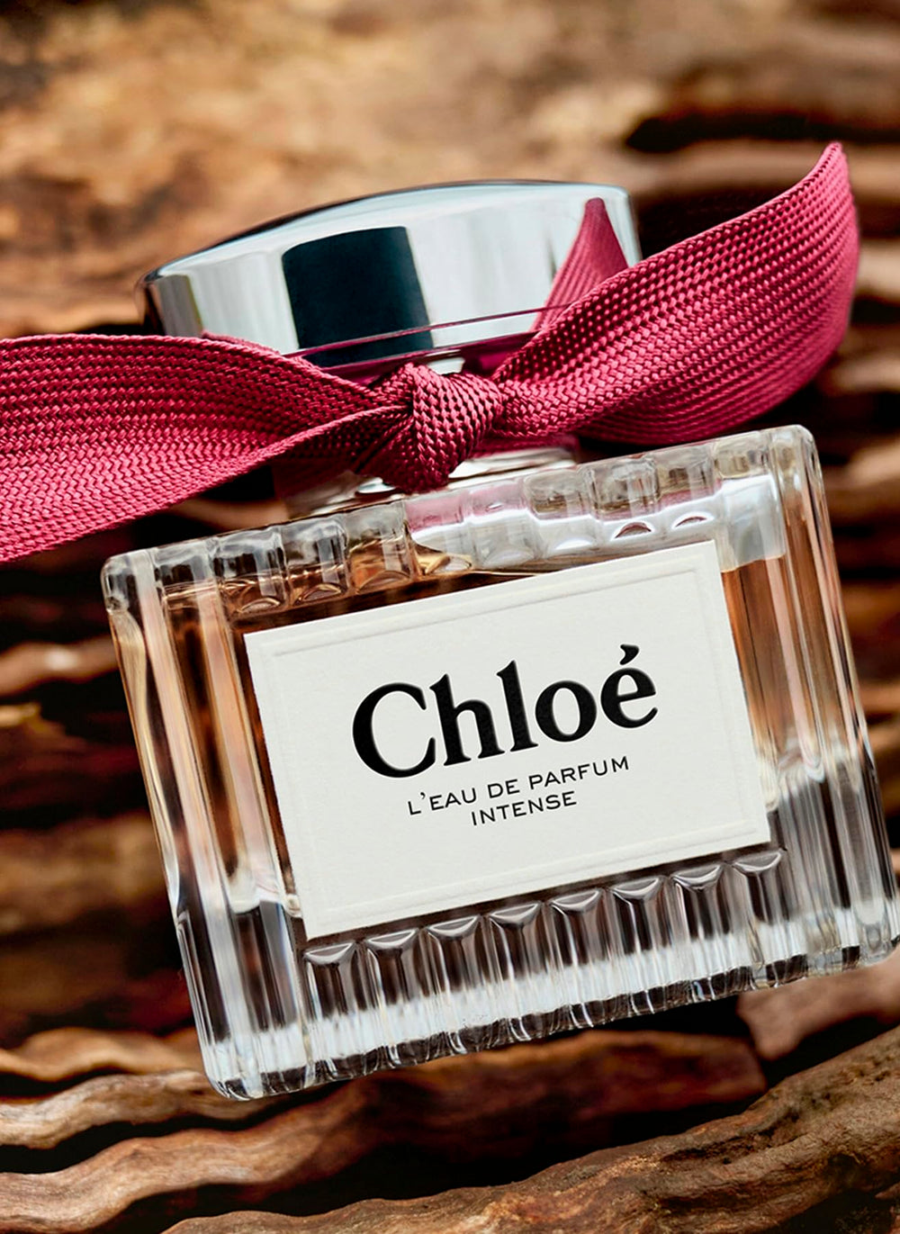 Chloé L'Eau de Parfum Intense warm woody base close-up with ambrox and cedarwood.