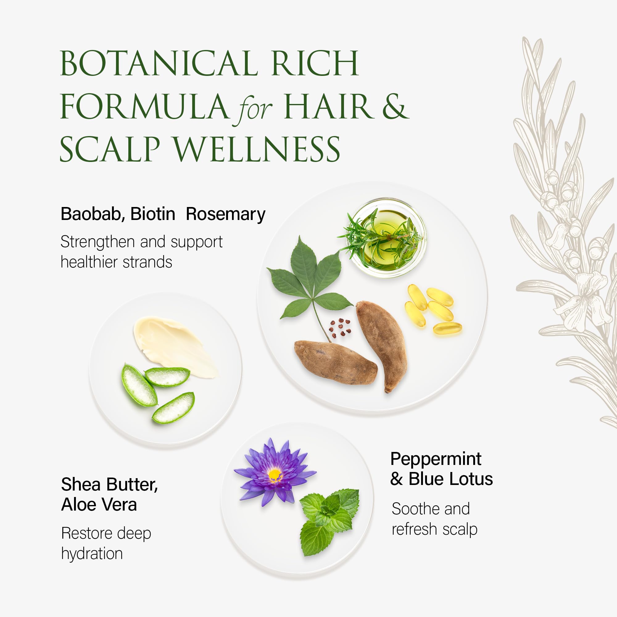 Christina Moss Naturals conditioner peppermint scent enhances refreshing wash