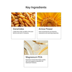 CLEARSTEM Hydraberry magnesium-pca detail signals soothing, barrier-supporting components.