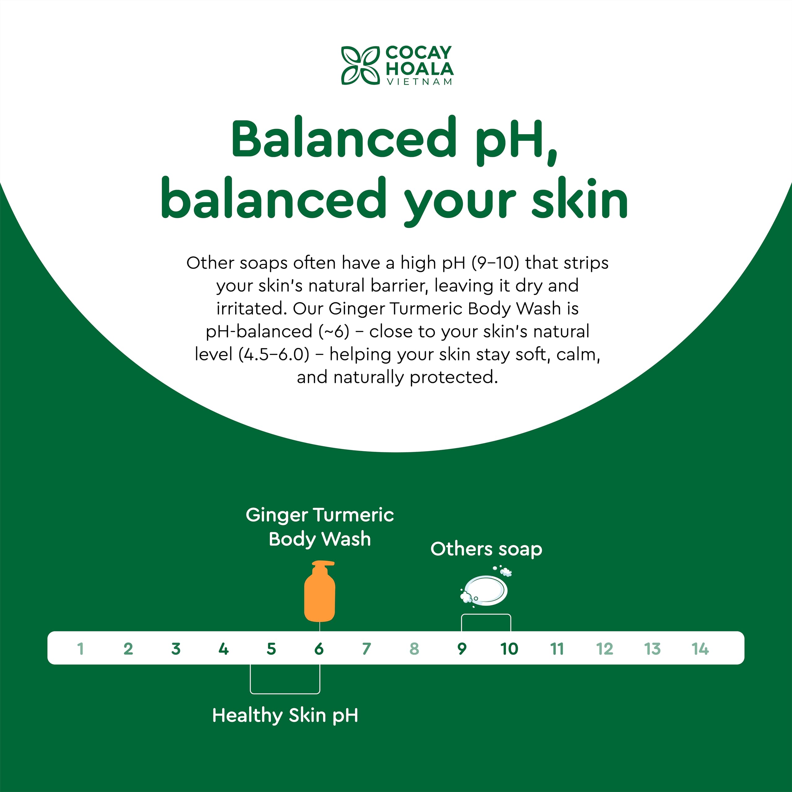 COCAY HOALA Natural ingredients label highlights paraben and silicone free formula.