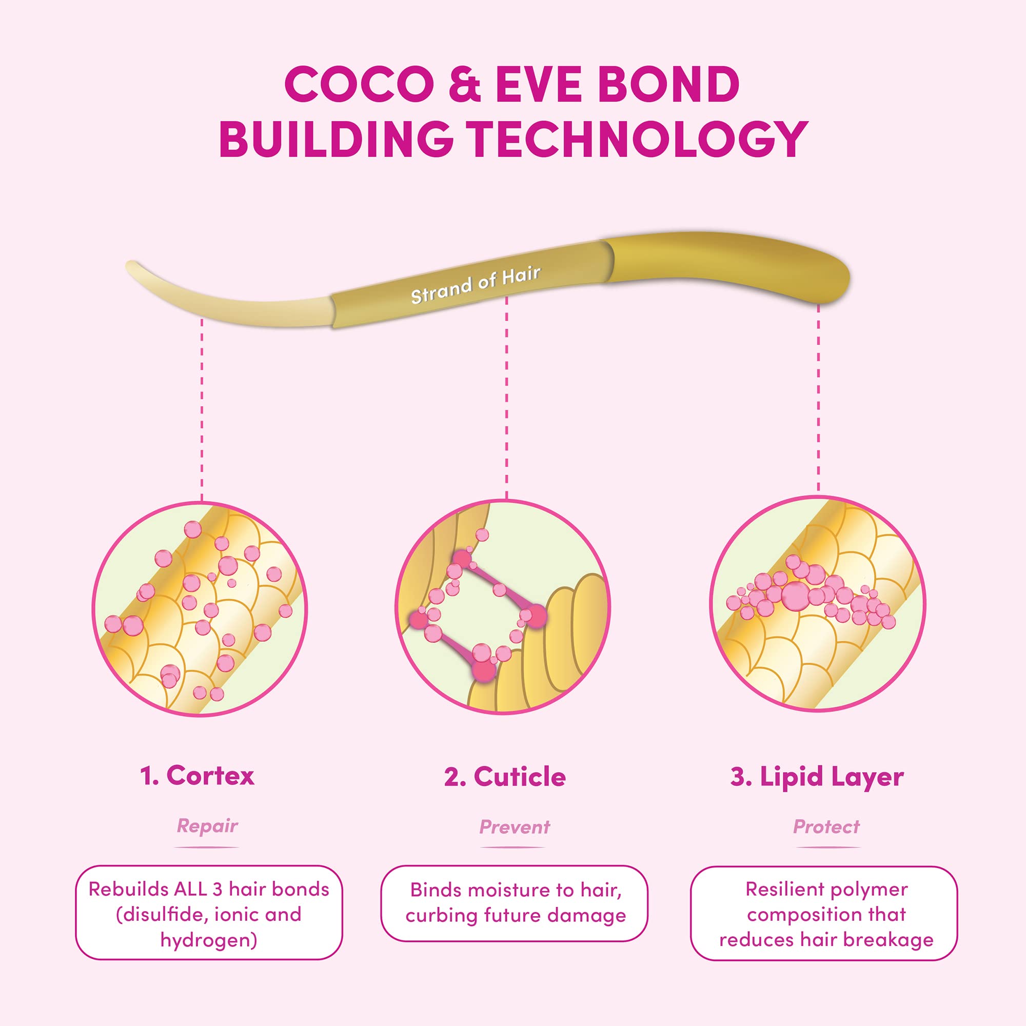 Coco & Eve Bottle close-up ingredients highlights nourishing oils.