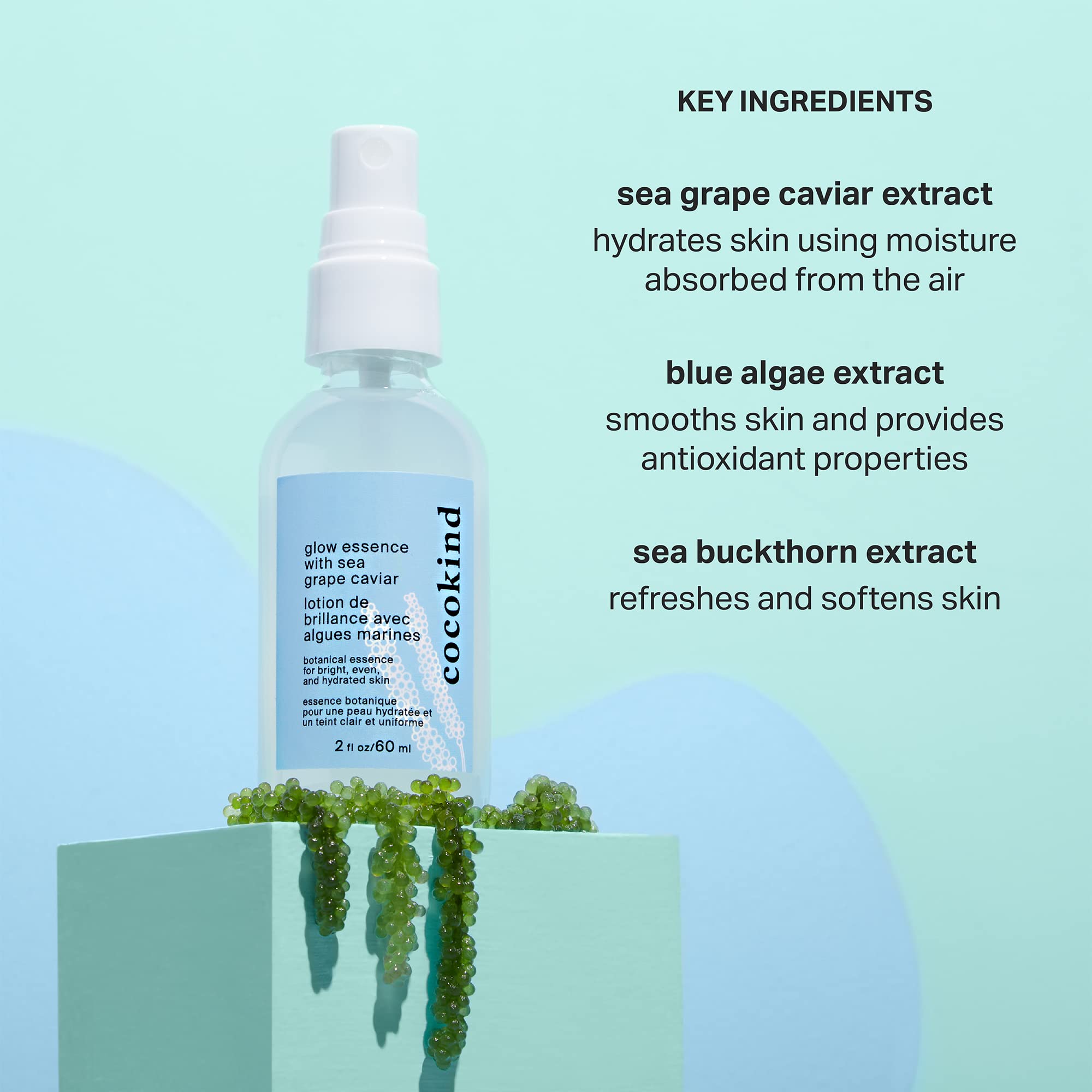 Cocokind Glow Essence blue algae extract scene suggests smoothing the skin.