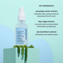 Cocokind Glow Essence blue algae extract scene suggests smoothing the skin.