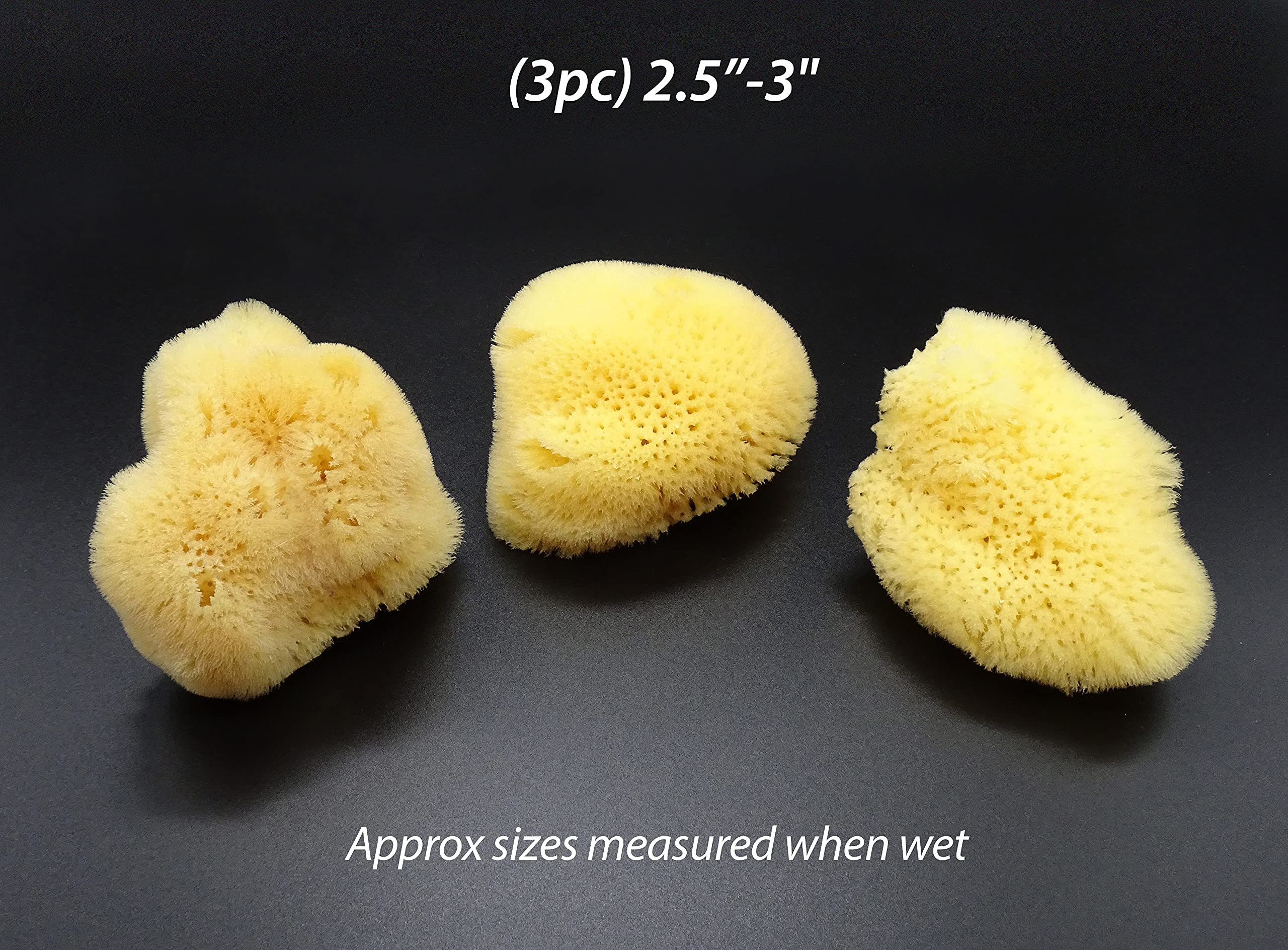 Constantia Beauty Natural Sea Silk Sponges reusable alternative to cotton for daily routines.