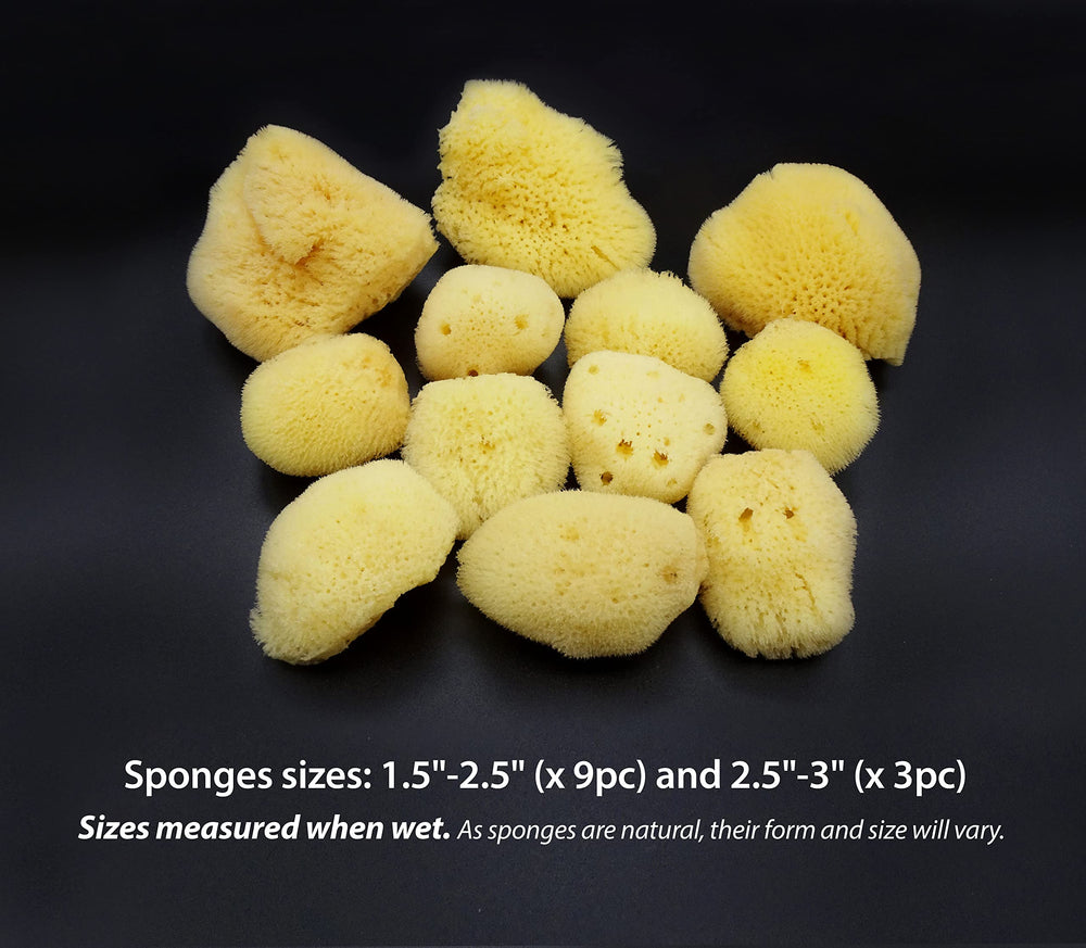Constantia Beauty Natural Sea Silk Sponges eye-area application demonstrates precise, comfortable cosmetic blending.