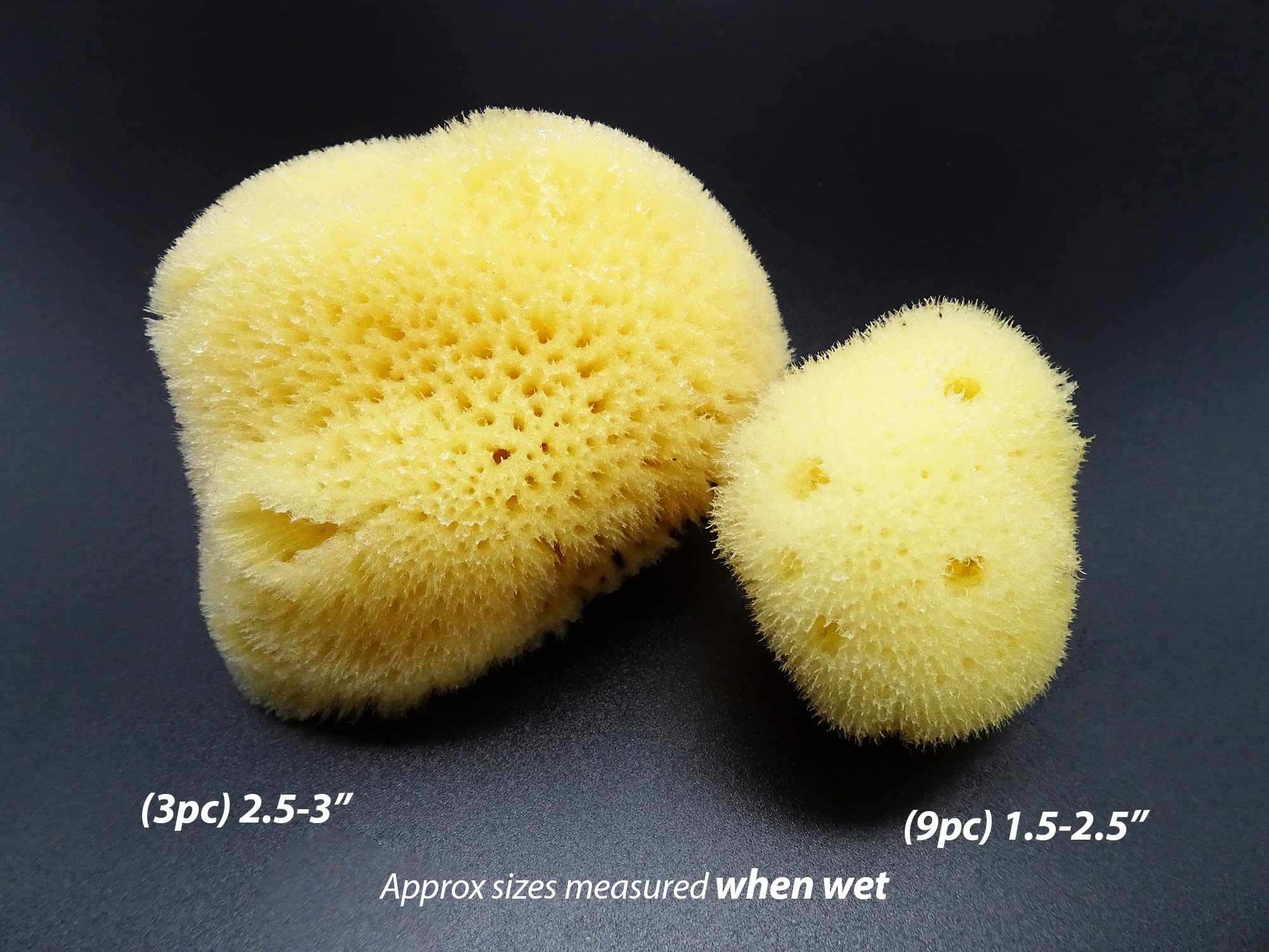 Constantia Beauty Natural Sea Silk Sponges face cleansing concept shows soft, absorbent texture for everyday skincare.