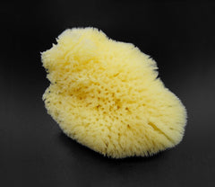 Constantia Beauty Natural Sea Silk Sponges nail-care close-up shows gentle care for cuticles.