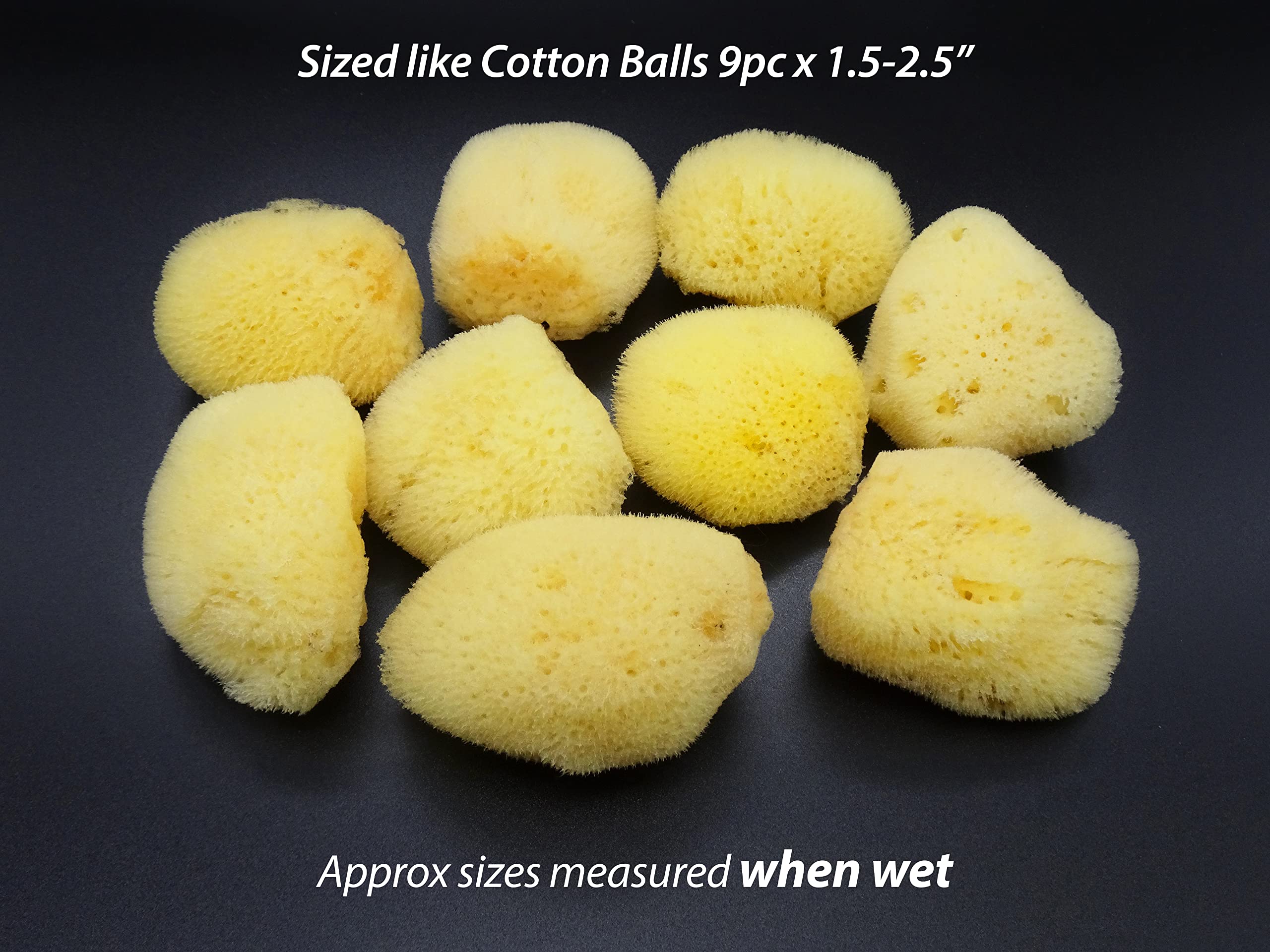 Constantia Beauty Natural Sea Silk Sponges harvested from renewable resources supports eco-friendly skincare.