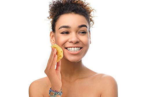 Constantia Beauty Natural Sea Silk Sponges 3-piece face size for facial cleansing.