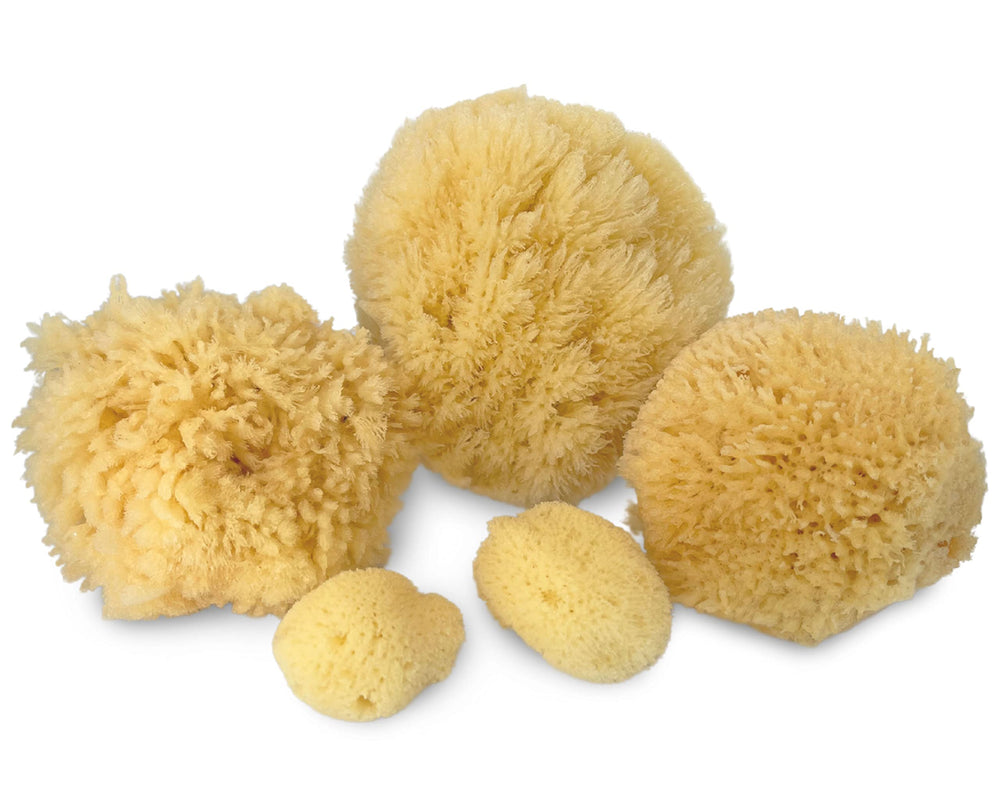 Constantia Beauty premium organza gift bag for the 5pc sea sponge set