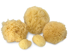 Constantia Beauty premium organza gift bag for the 5pc sea sponge set