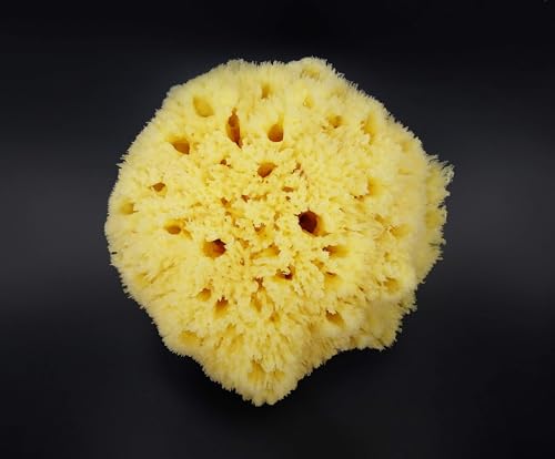 Constantia Man sea sponge care instructions help extend lifespan.