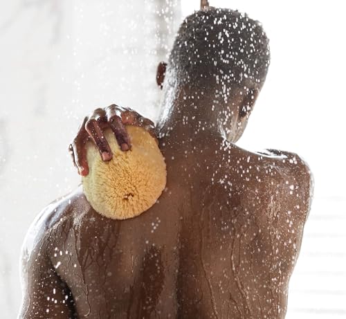 Constantia Man sea sponge sustainable harvest emphasizes natural sourcing.