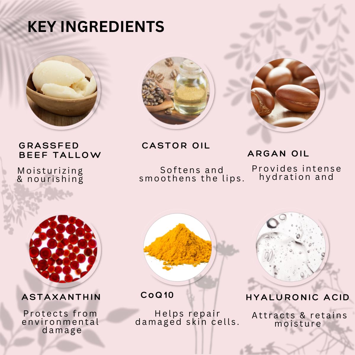 CoQ10 and astaxanthin enriched balm close-up with ingredient benefits highlighted.