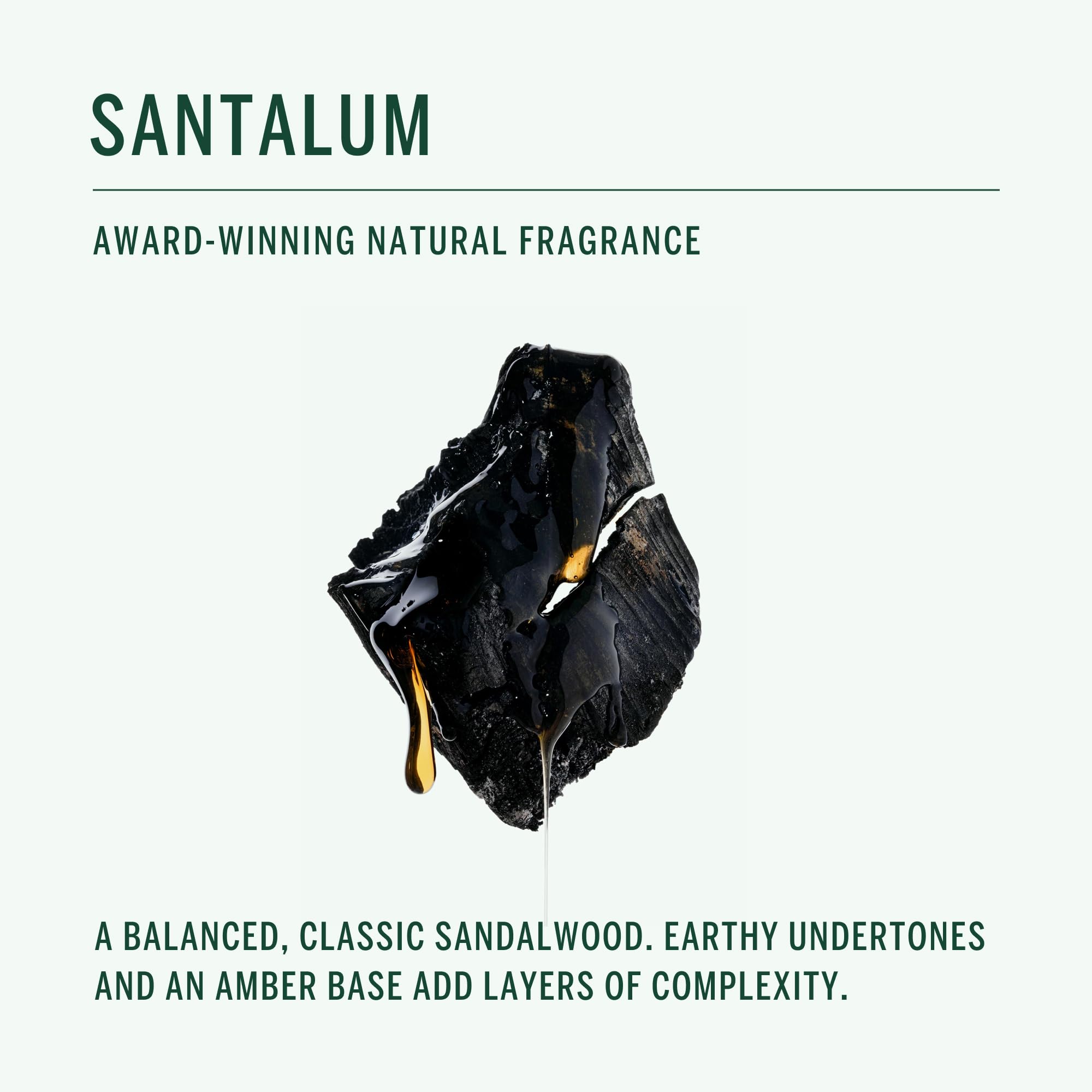 Corpus Santalum enzyme-based formula illustrates plant-based odor control.