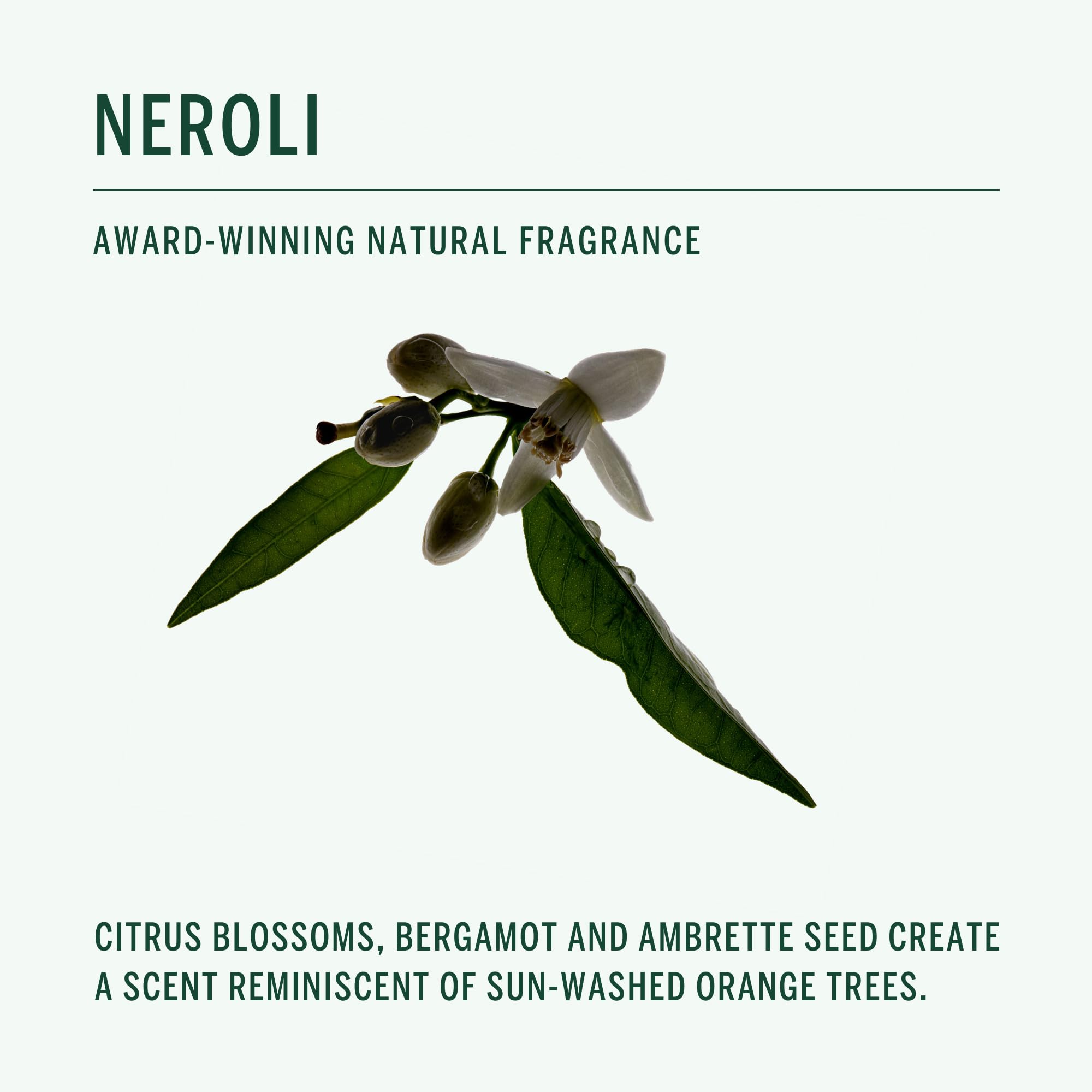 Corpus Neroli underarm application demonstrates refreshing, dry-time performance for everyday use.