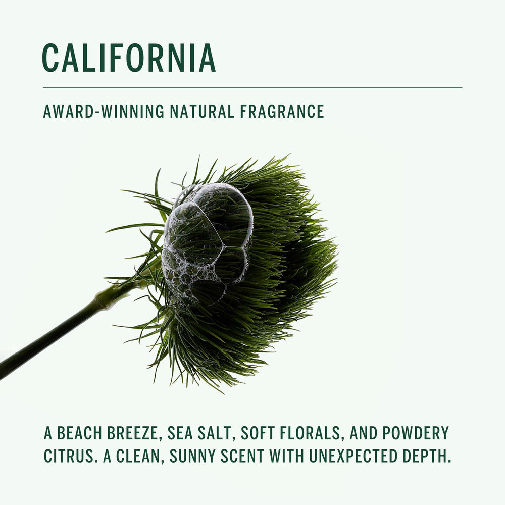 Corpus packaging FSC-certified box communicates sustainability and recyclable design.