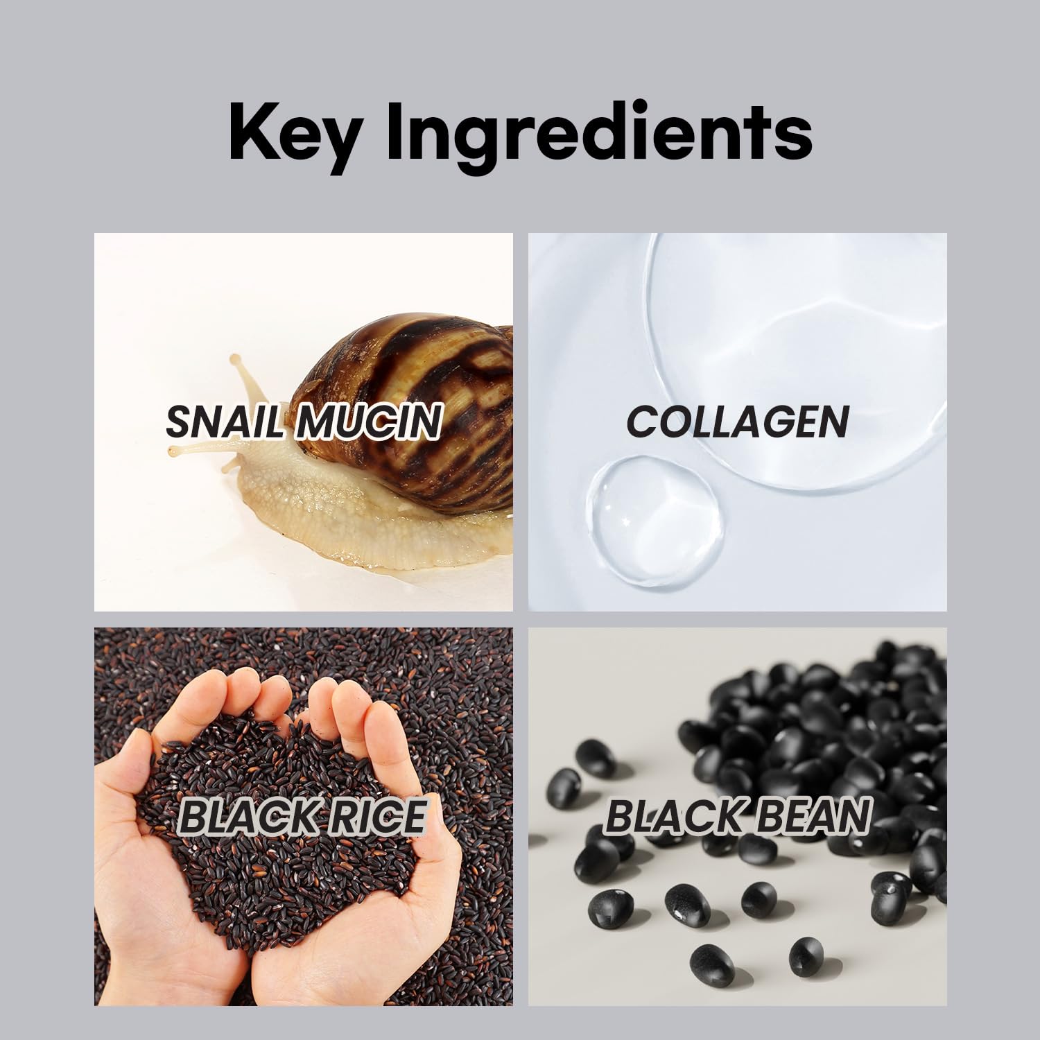 coxir Black Snail Kit Box—complete 4-step routine in a compact gift set.