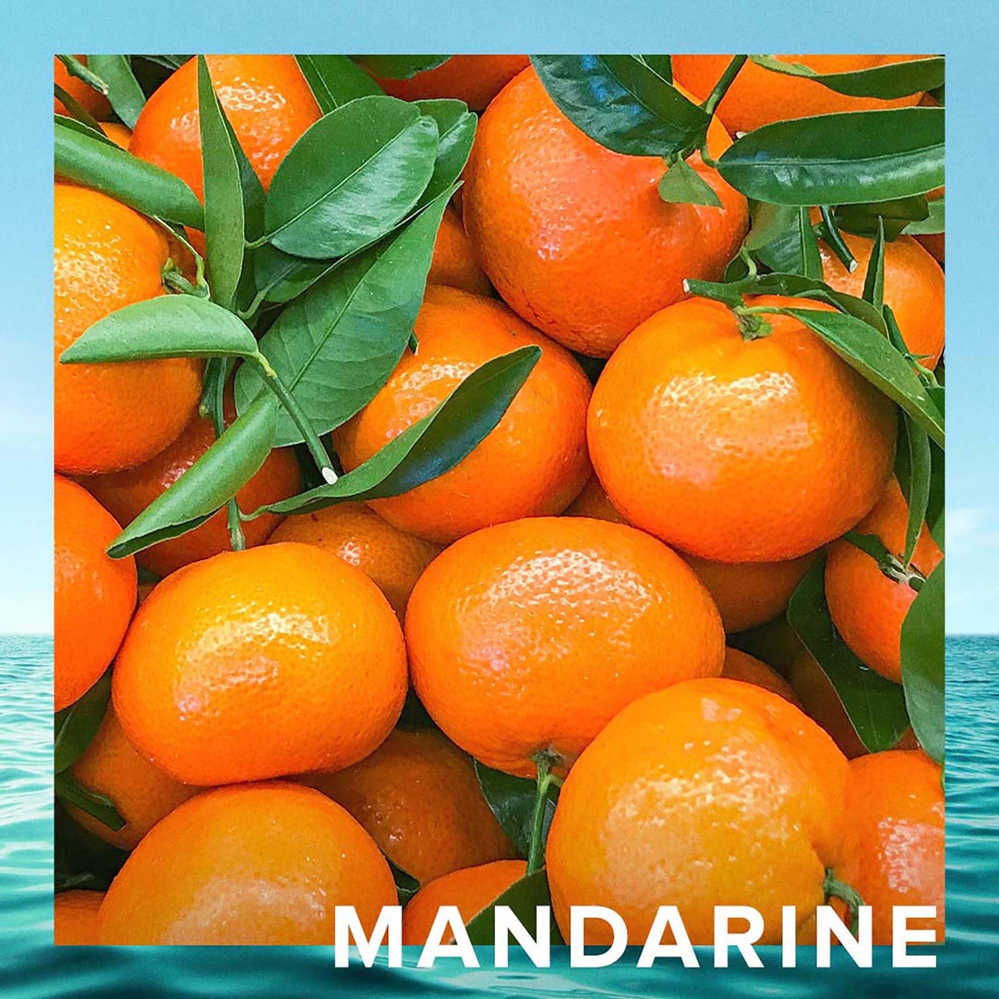 CR7 Origins salty lavender note reflecting sea-breeze airiness