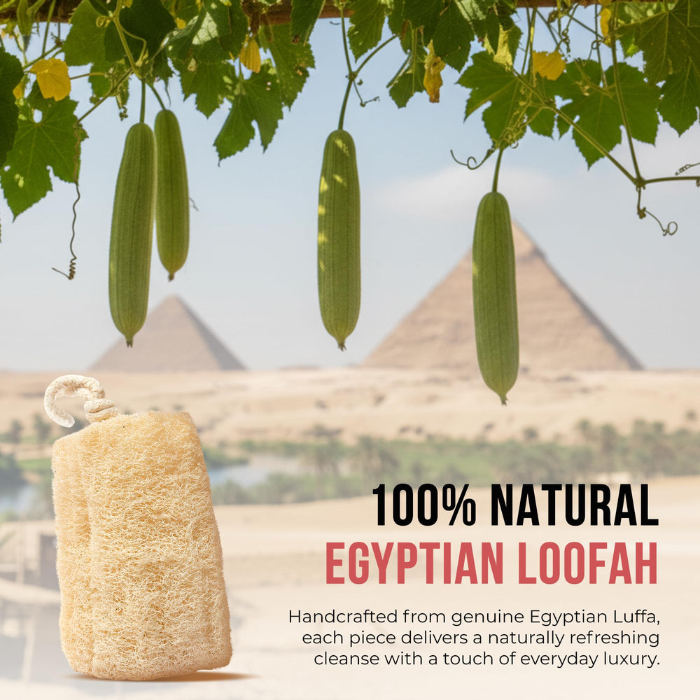 CraftsOfEgypt hand-cut loofah sponges demonstrate durability and long-lasting foam.
