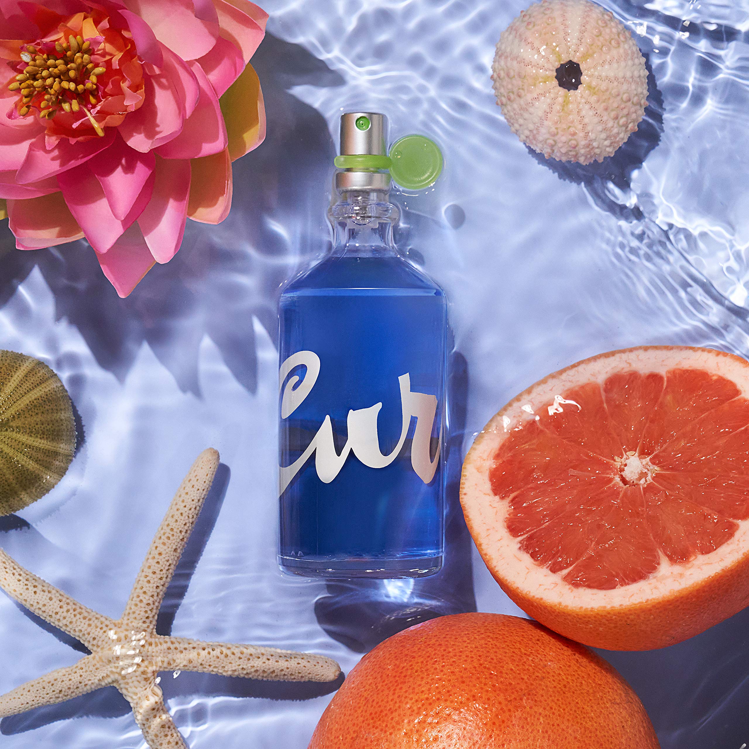 Curve Eau De Toilette packaging box conveys brand authenticity and gift-ready presentation