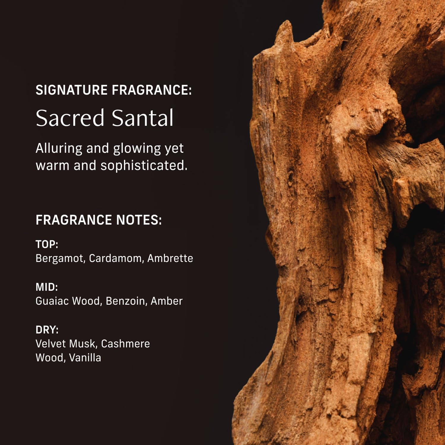 CYKLAR Ceramide NP bottle hints at moisture barrier support for skin