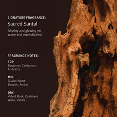 CYKLAR Niacinamide Banana Flower Extract for balanced tone and nourished skin.