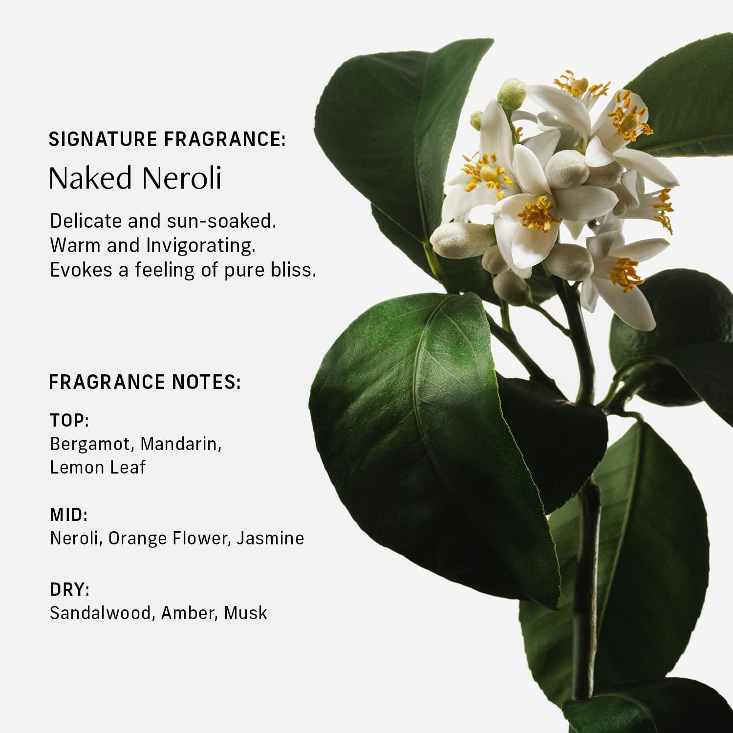 CYKLAR Moisture-Locking ingredients image highlights Sodium PCA and Glycerin benefits.