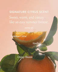 DAE Freshly Squeezed Wash Set ingredients hint at a gentle, plant inspired formula.