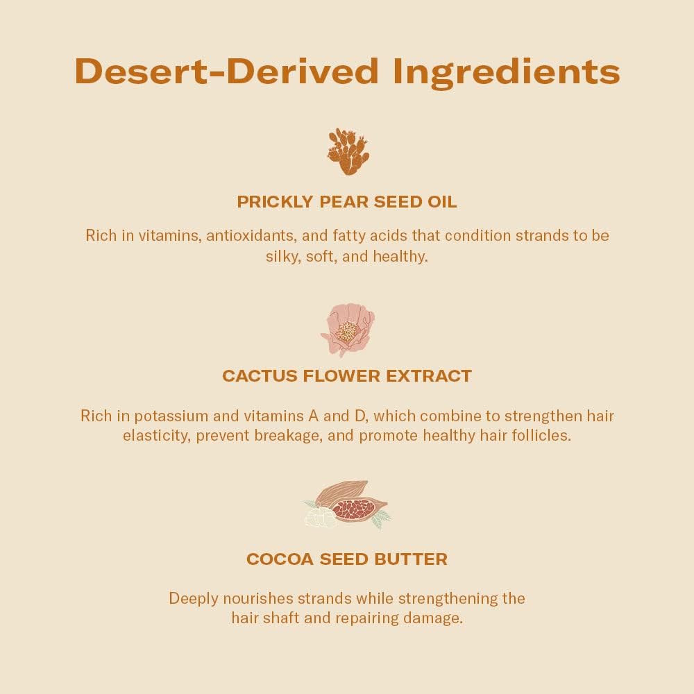 DAE Monsoon Moisture Mask cocoa seed butter closeup demonstrates nourishing repair