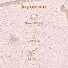 DAE Prickly Pear Hair Oil close-up showing frizz control and smoothness.