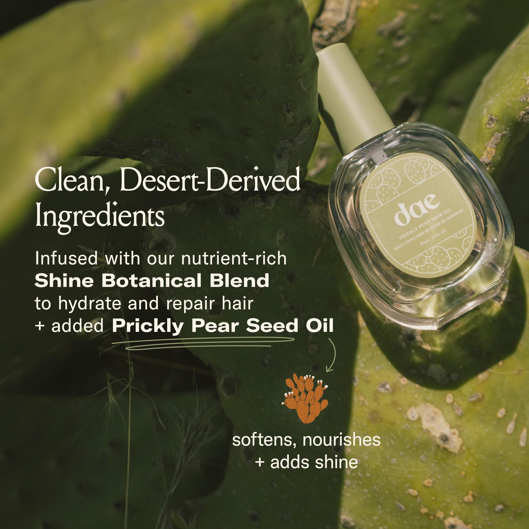 DAE Signature Blend label-closeup—vegan, sulfate-free formula supports gentle conditioning.