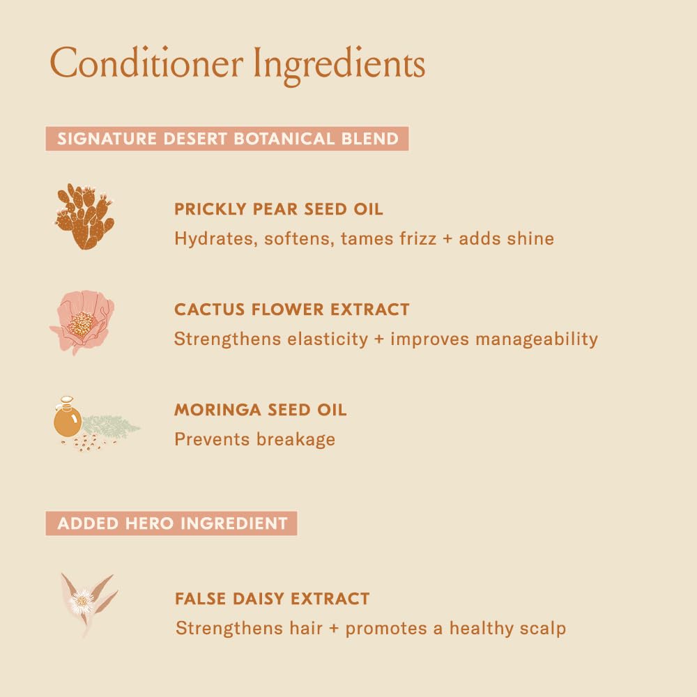DAE Signature Duo desert botanicals hint at nourishing hair protection