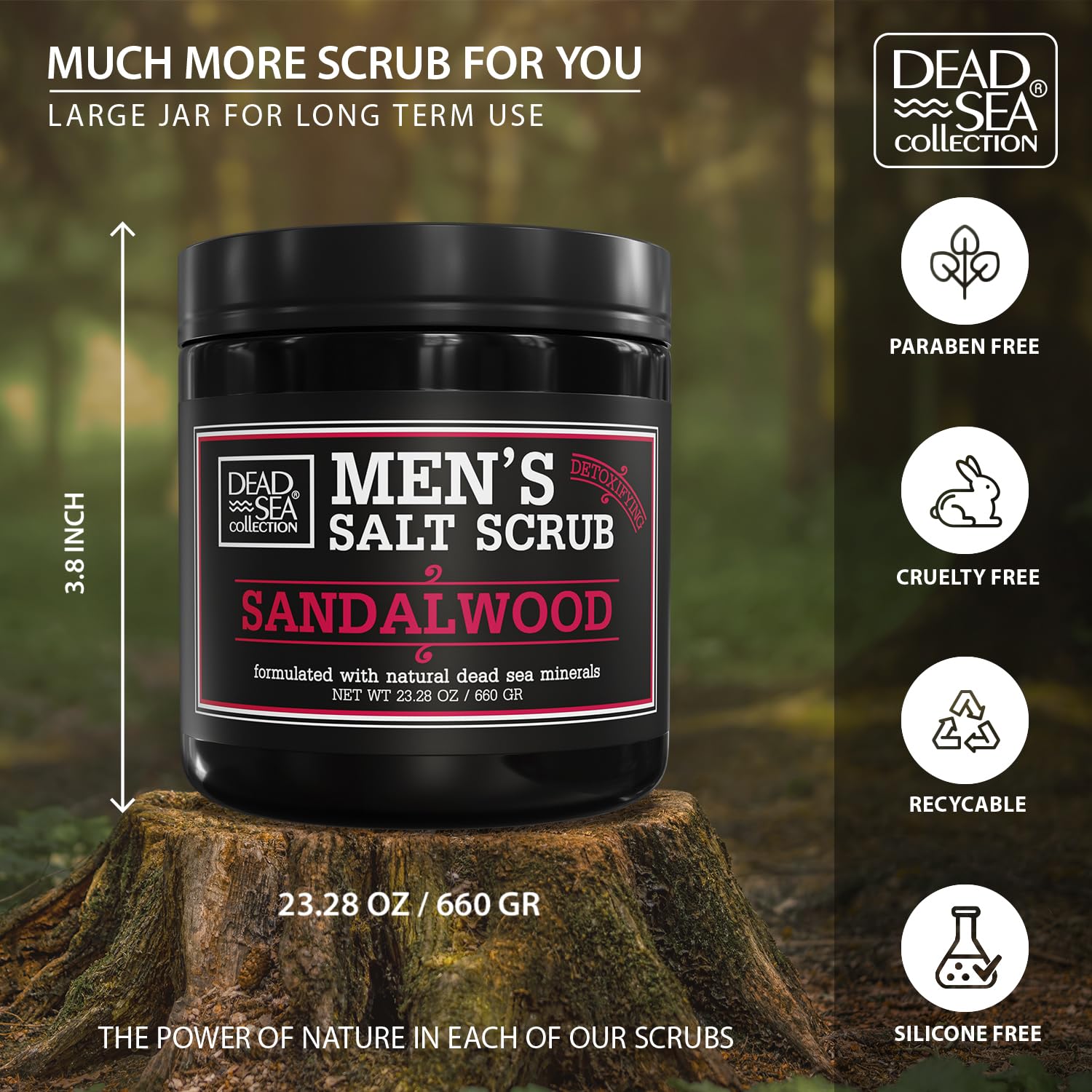 Dead Sea Collection Salt Body Scrub Sandalwood aroma diffusion highlights invigorating scent.