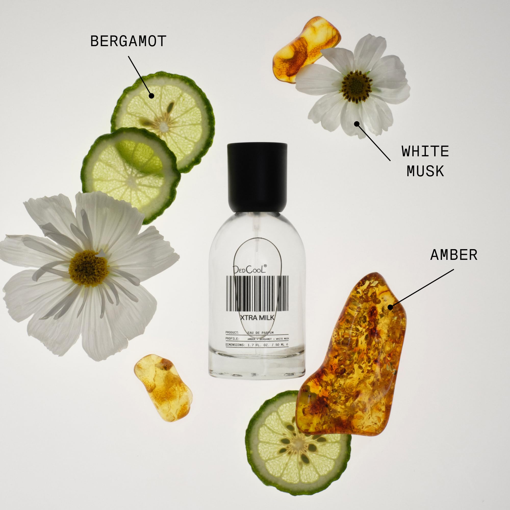 DedCool Xtra Milk bottle angled view showing bergamot and amber balance.