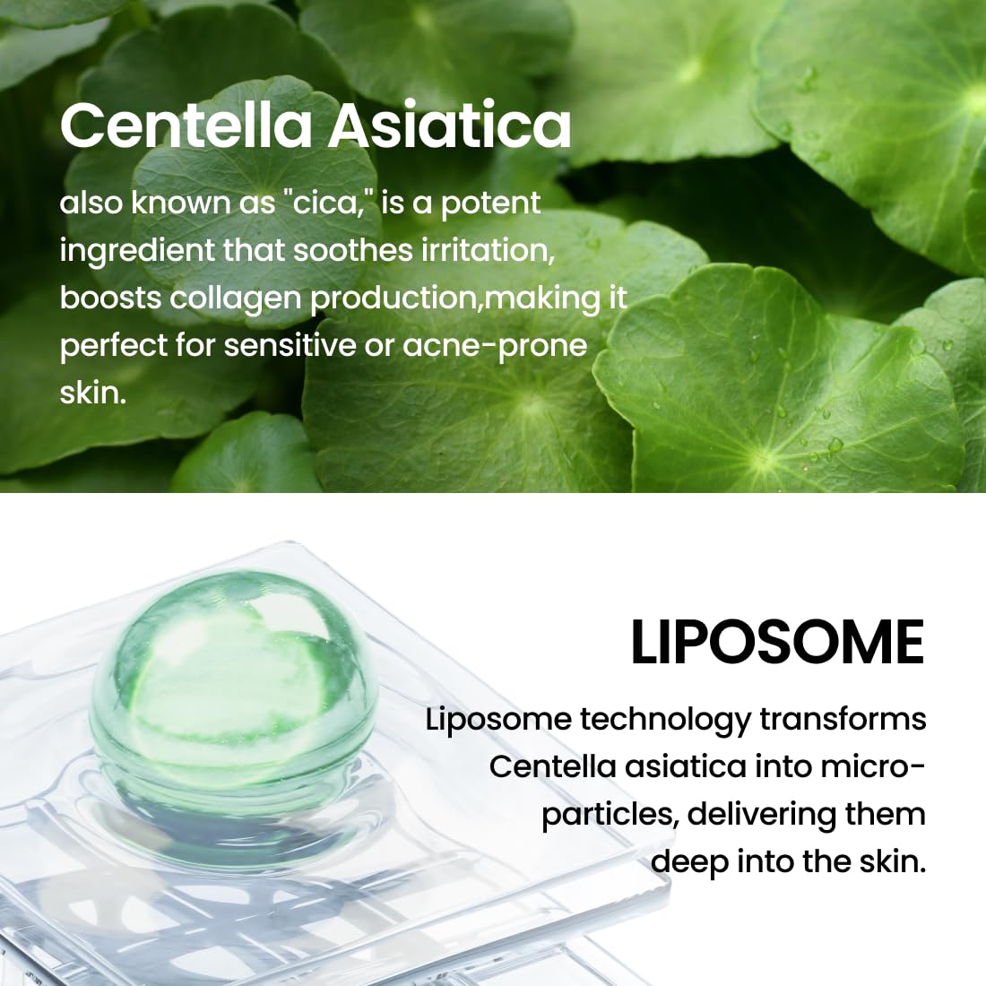Delphyr packaging box of liposome waterful bubble serum signals premium Korean skincare