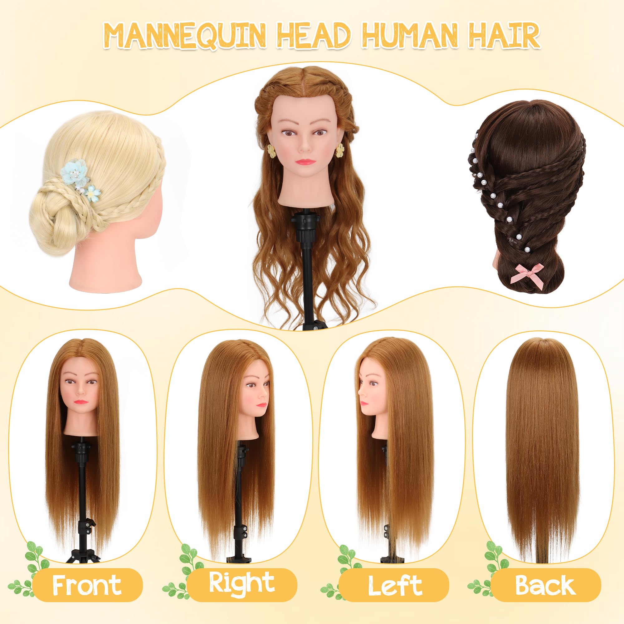 Demides mannequin head tools-included kit supports complete cosmetology training