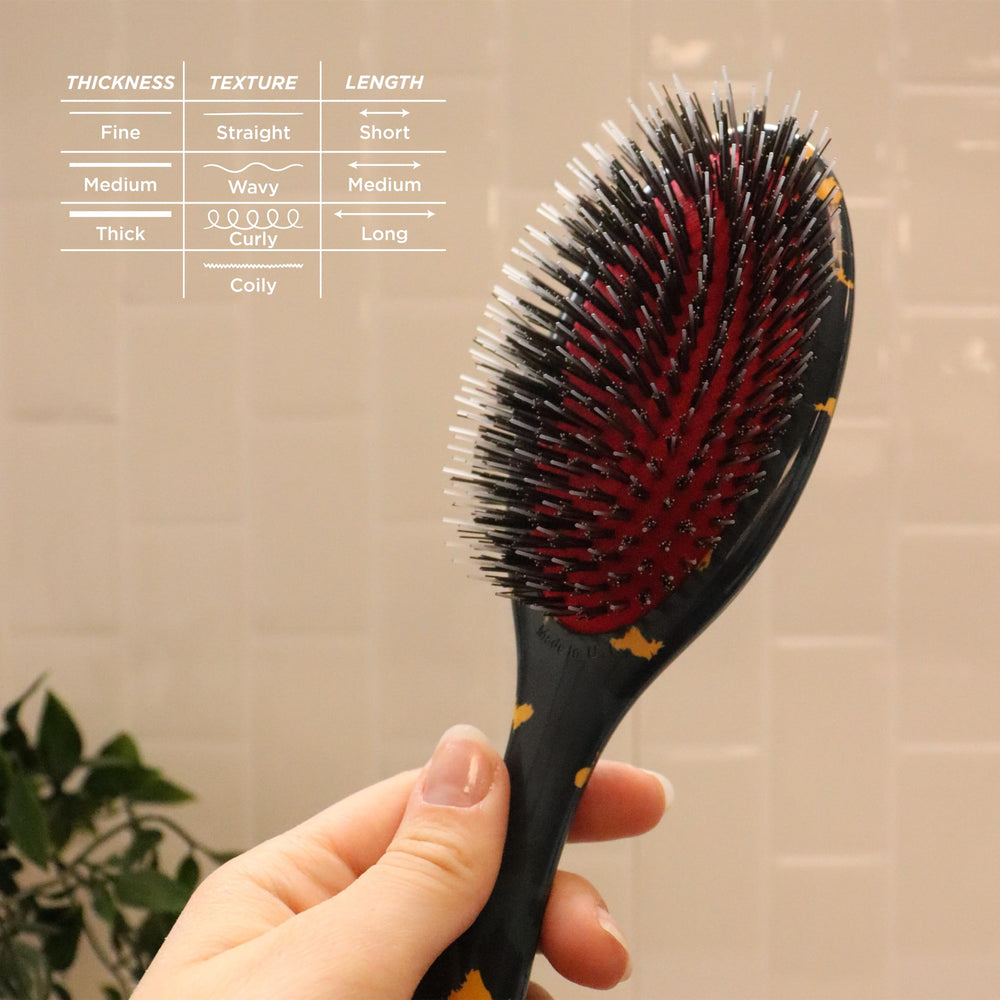 Denman D81M frizz-control brush aiding shine and frizz reduction for textured hair.