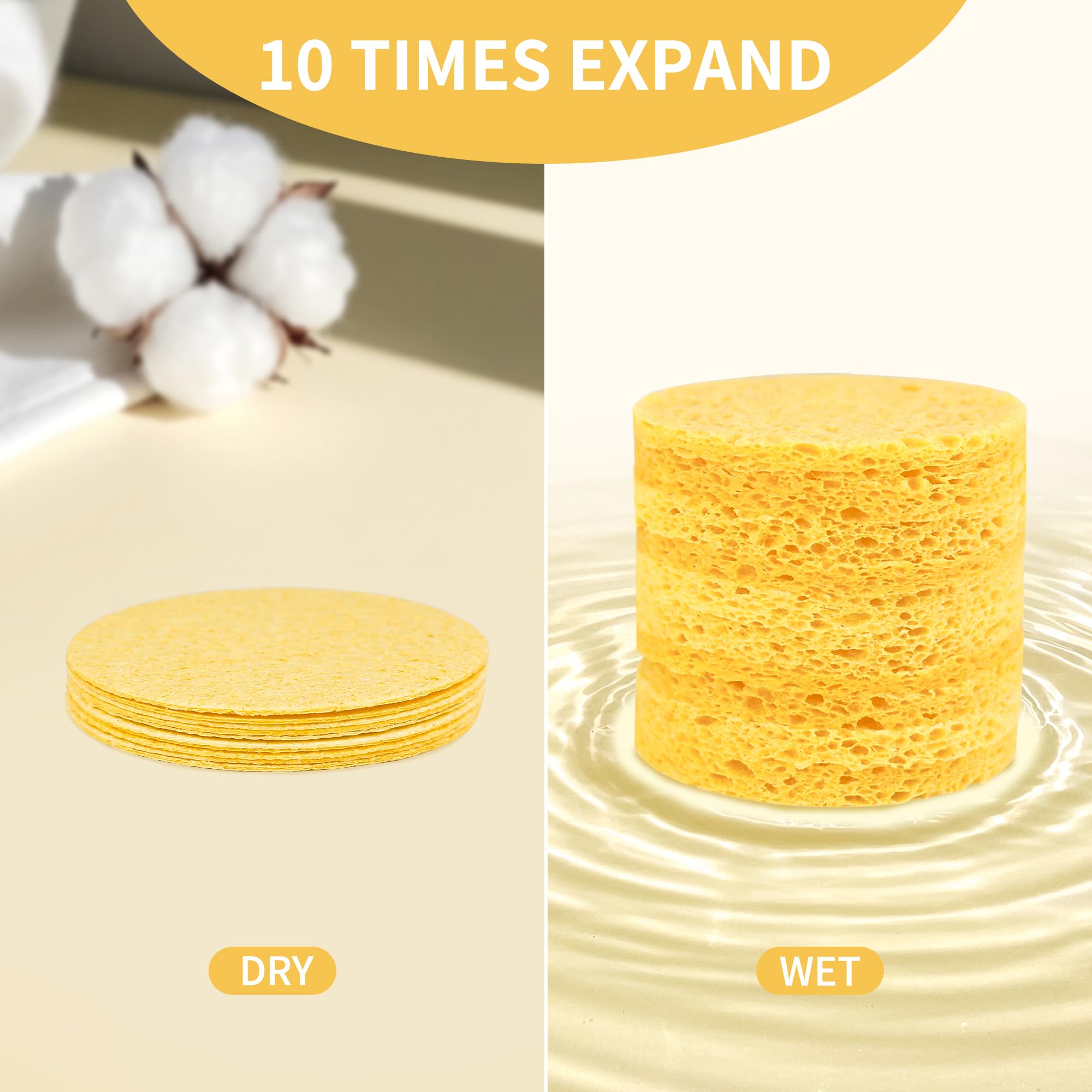 Derloyo compressed sponges expand when soaked for gentle cleansing.