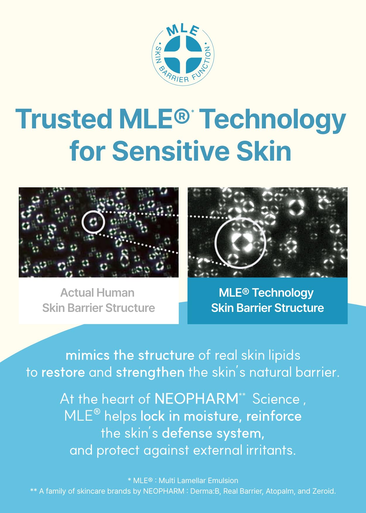 Derma B long-lasting hydration claim on packaging reinforces day-long care.