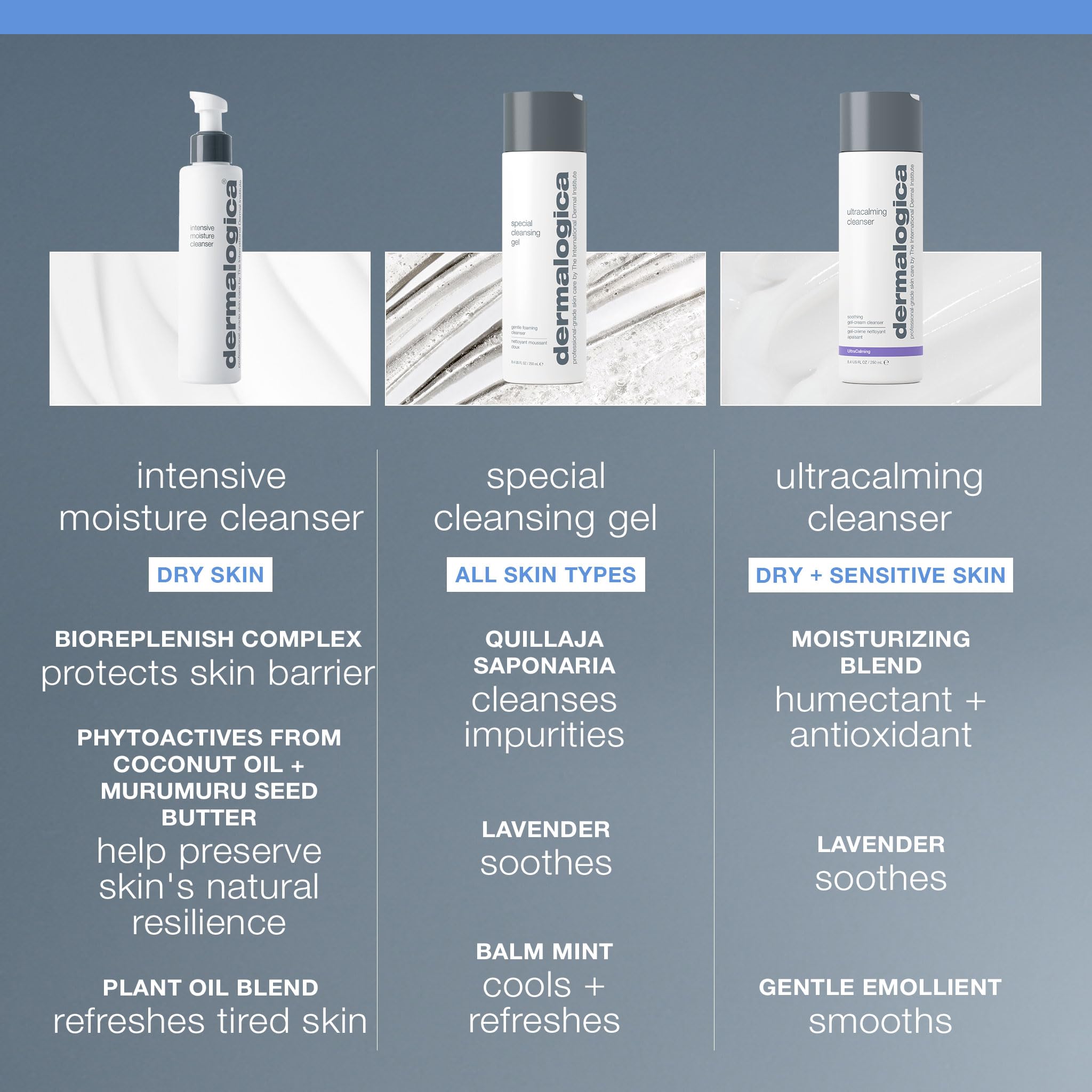 Dermalogica BioReplenish Complex ingredient graphic highlights nourishing actives