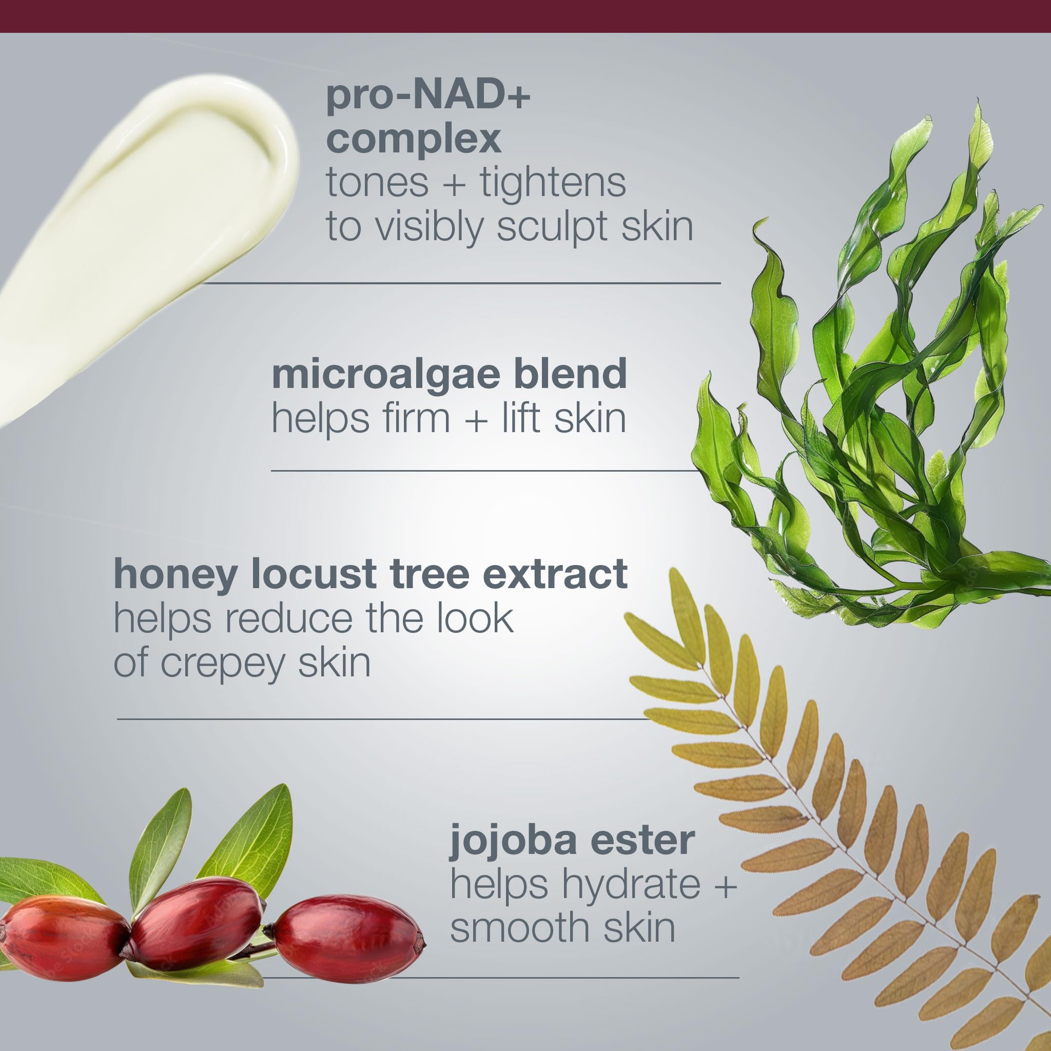 Dermalogica Dynamic Skin Sculptor rice protein highlights deep hydration support.