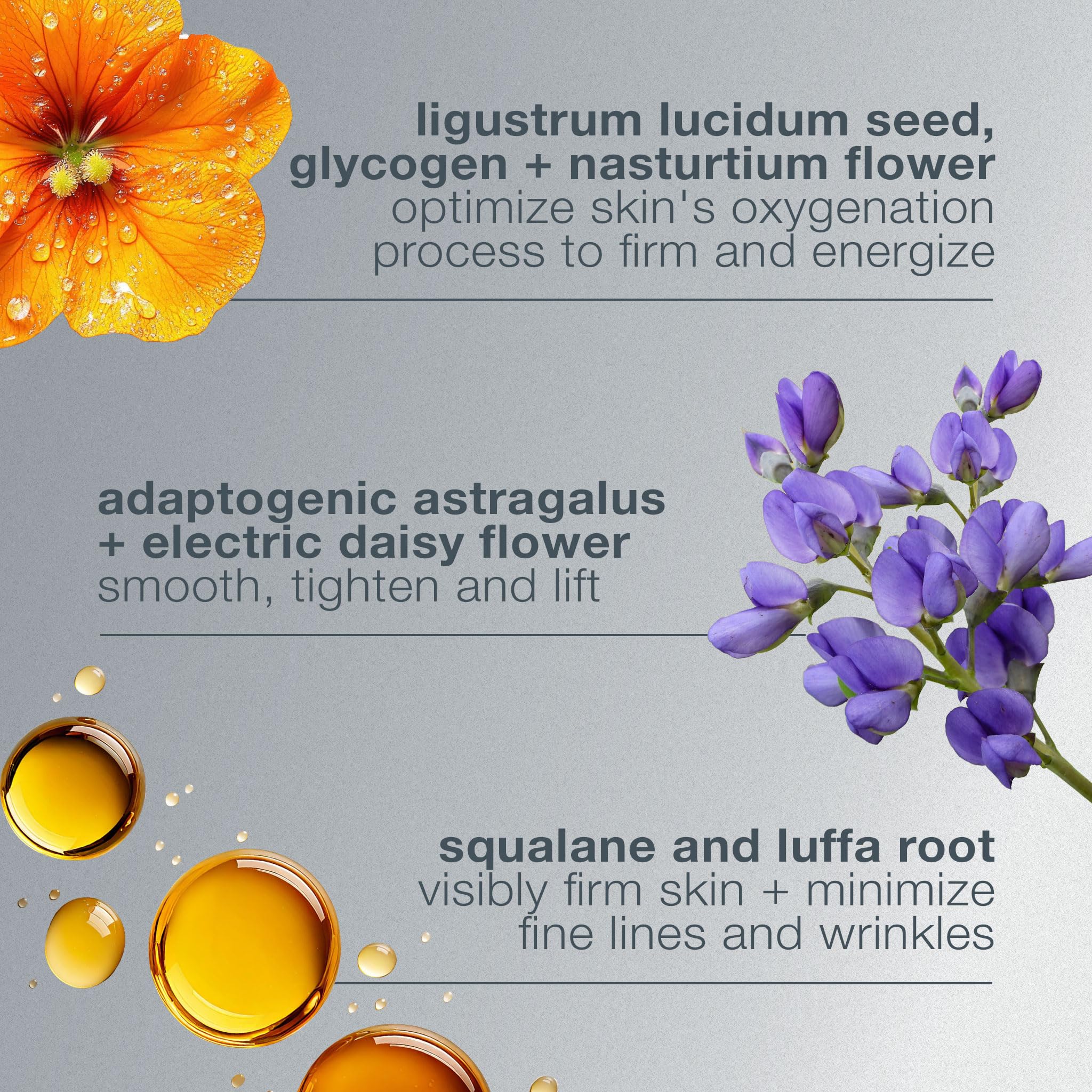 Dermalogica Phyto Nature Oxygen Cream lift and firm preview.