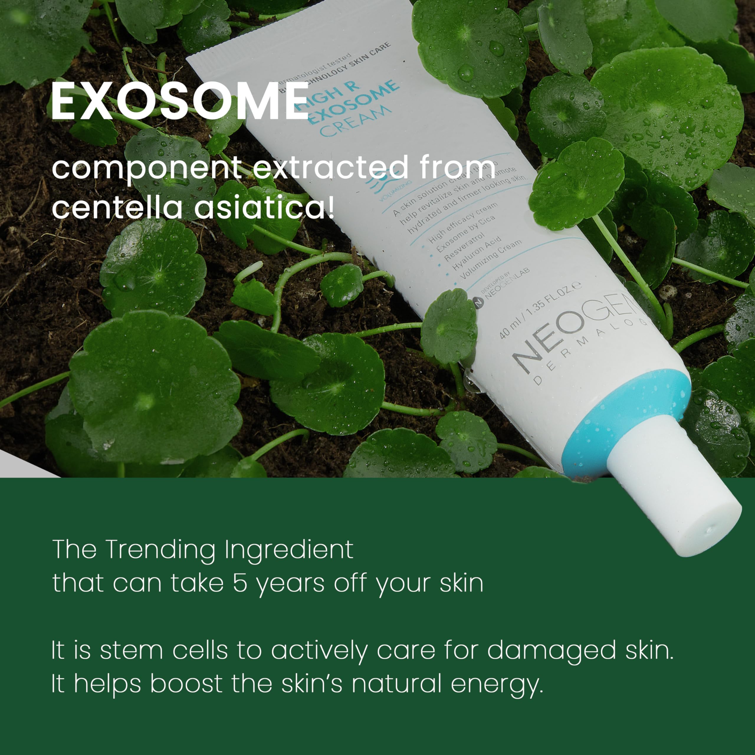 DERMALOGY High R Exosome Cream pump-dispenser demonstrates easy daily use.